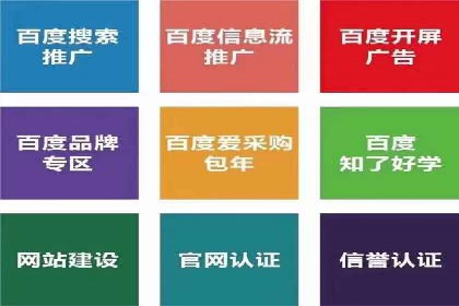 顶尖SEM竞价代运营公司案例分析